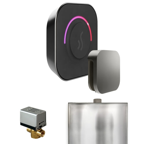 Mr. Steam Residential ButlerTouch Steam Shower Control Package Satin Steel
