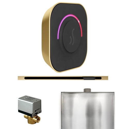 Mr. Steam Residential ButlerTouch Steam Shower Linear Control Package Satin Brass
