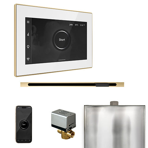 Mr. Steam Residential XButler Steam Shower Linear Control Package Polished Brass
