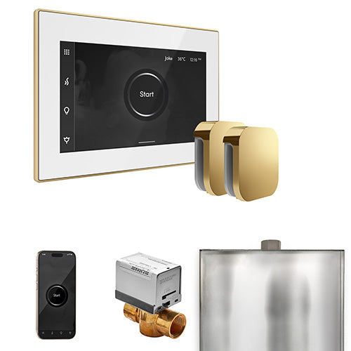 Mr. Steam Residential XButler Steam Shower Max Control Package Polished Brass
