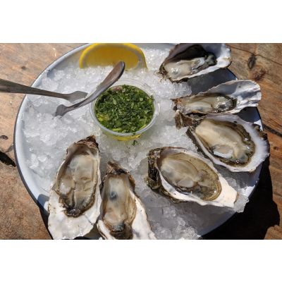 Perlick 15 Inch ADA Compliant Cubelet Ice Maker Indoor/Outdoor Stainless Steel Door with Integrated Pump with Ice