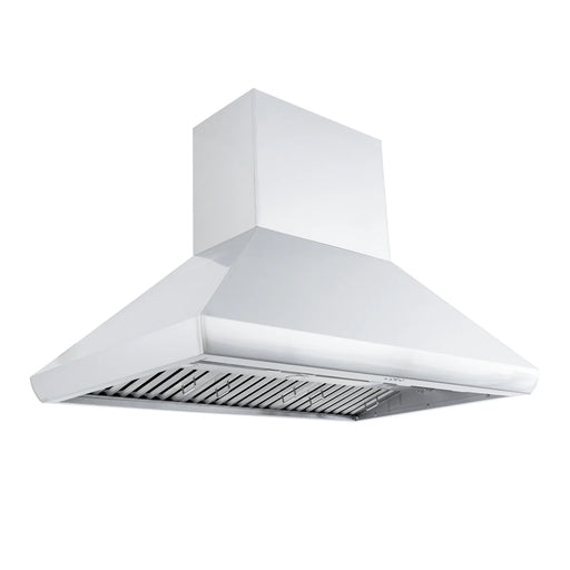 Proline 60 Inch PLJI 109 Island 1200 CFM Stainless Steel Range Hood Side
