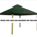 Riverstone Industries ACACIA AGK14-SD 14 sq. ft. Gazebo Roof Framing And Mounting Kit with Sundura Canopy Green