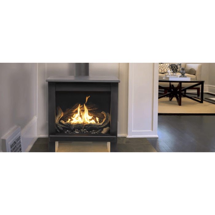 True North TN24 Direct Vent Natural Gas Stove Attached