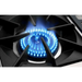 Capital 48’ Precision Gas Range 6 Sealed Burners BBQ
