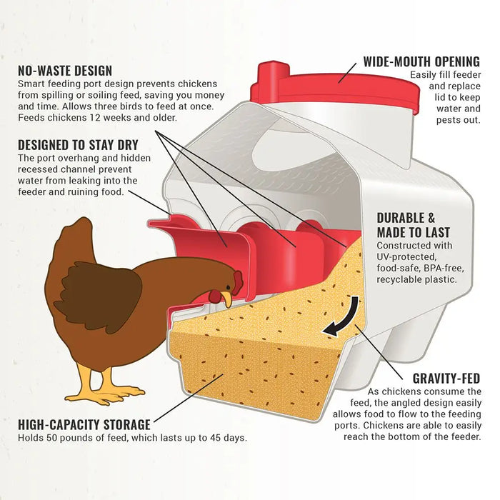 Classic Feeder - Waterer and Feeder