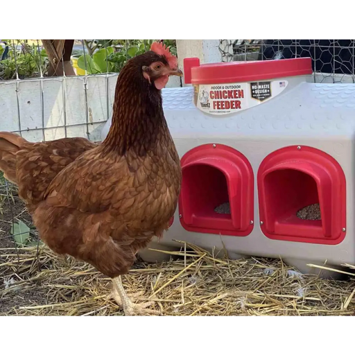 Classic Feeder - Waterer and Feeder