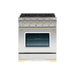 Classico Series 30 Inch Dual Fuel Freestanding Range With Brass Trim Stainless Steel