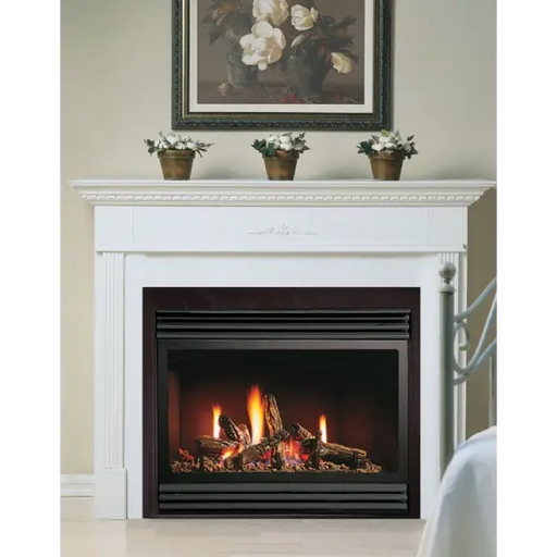 Kingsman ZCV3622LP/N 36 Inch Clean View Zero Clearance Direct Vent Fireplace with Millivolt Ignition Front View