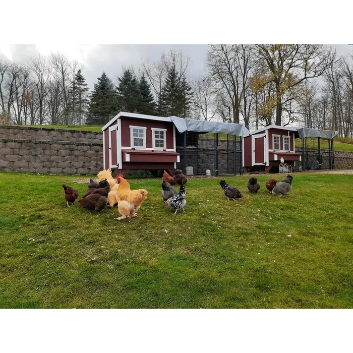 Large Chicken Coop - Up to 15 Chickens - Chicken Coops