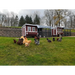 Large Chicken Coop - Up to 15 Chickens - Chicken Coops