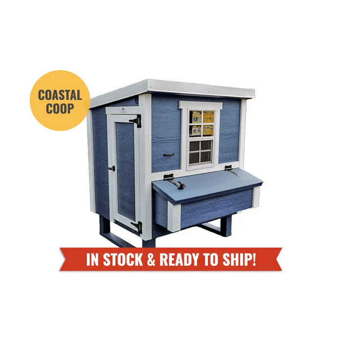 Medium Chicken Coop - Up to 10 Chickens - Chicken Coops