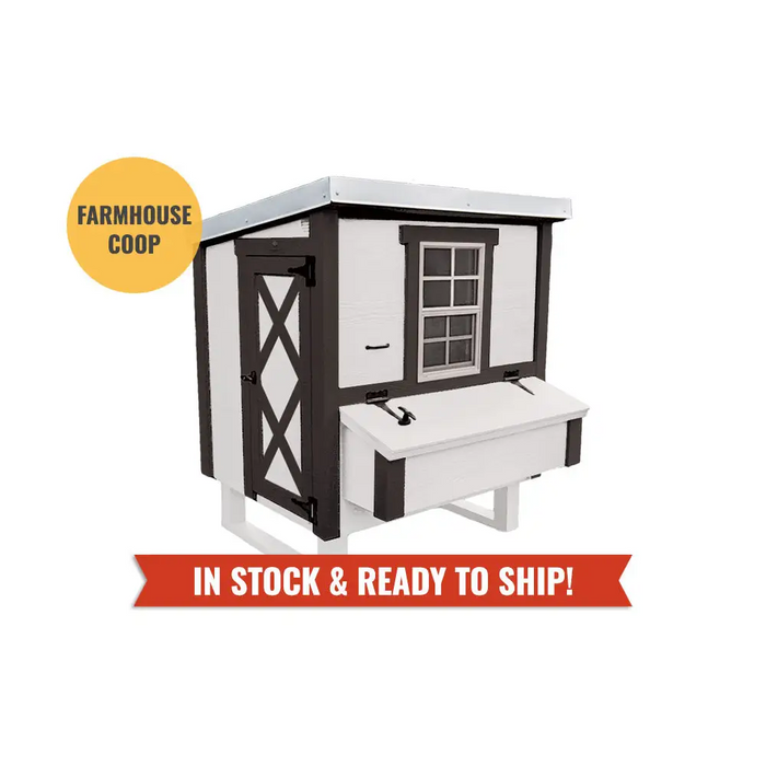 Medium Chicken Coop - Up to 10 Chickens - Chicken Coops