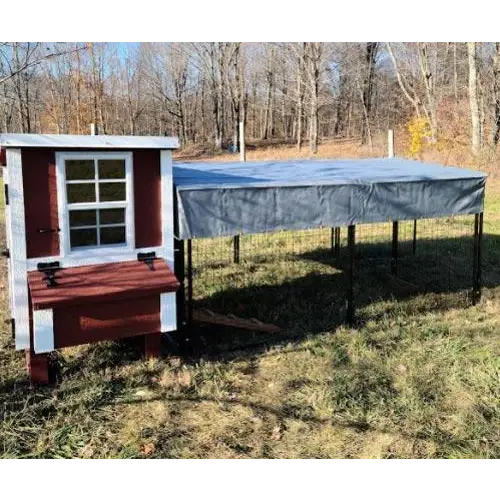 Small Chicken Coop - Up to 5 Chickens - Chicken Coops