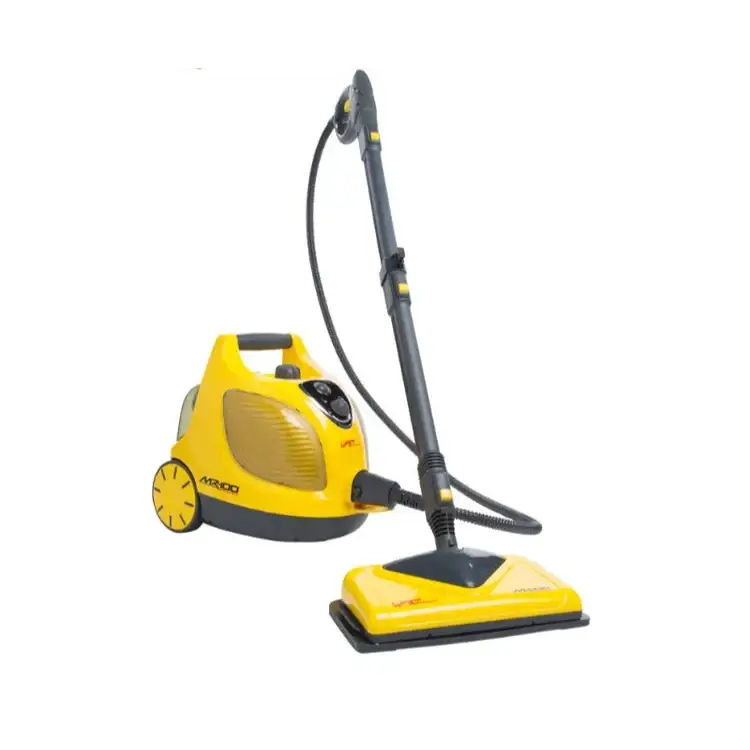 Commercial Steam Cleaner