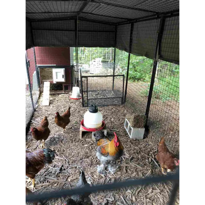 Walk-In 15 ft. Chicken Run (6’6’W x 15’L x 6’3’H)