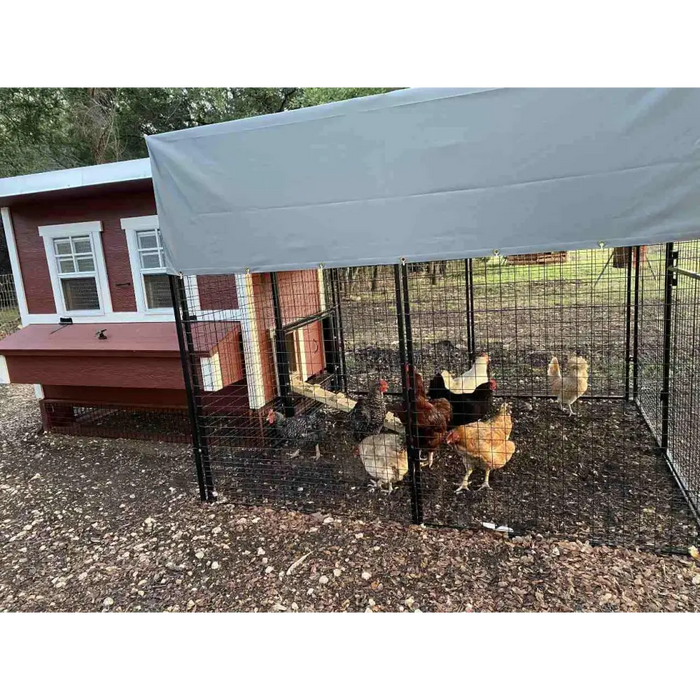 Walk-In 8 ft. Chicken Run (6’6’W x 7’6’L x