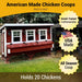 XL Chicken Coop - Up to 20 Chickens - Chicken Coops