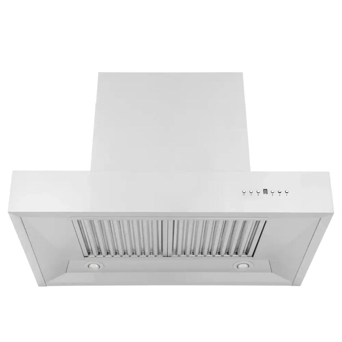 Convertible Professional Wall Mount Range Hood in Stainless