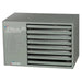 Modine Commercial Effinity Heater - 110K BTU/High-Efficiency