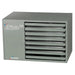 Modine Commercial Effinity Heater - 260K BTU/High-Efficiency