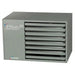 Modine Commercial Effinity Heater - 260K BTU/High-Efficiency