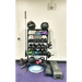The HUB250™ TotalStorage System - Fitness Upgrades