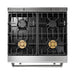 30 Inch Tilt Panel Professional Gas Range - Kitchen Upgrades