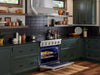 36 Inch Professional Electric Range - Kitchen Upgrades