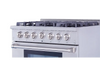 36 Inch Professional Liquid Propane Gas Range in Stainless