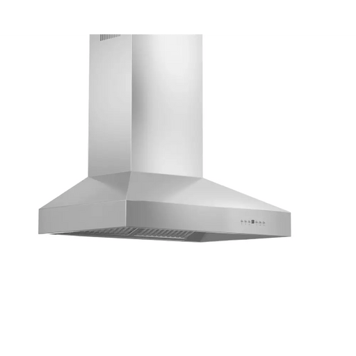 Professional Convertible Vent Wall Mount Range Hood in