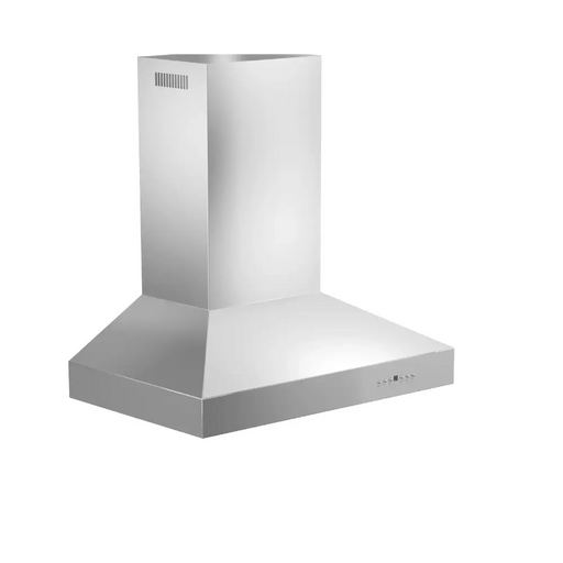 Professional Convertible Vent Wall Mount Range Hood in