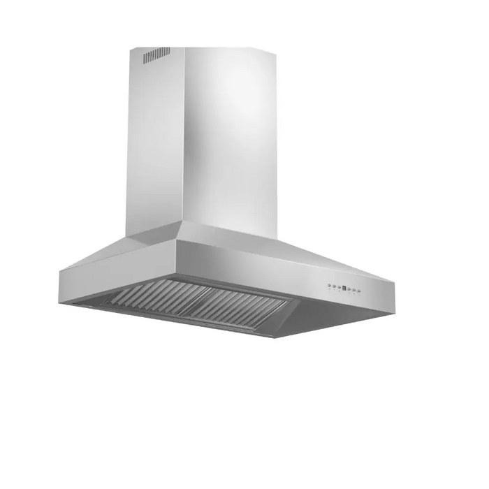 Professional Convertible Vent Wall Mount Range Hood in