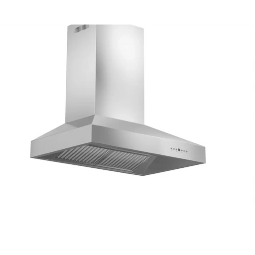 Professional Ducted Wall Mount Range Hood in Stainless Steel