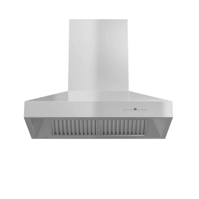 Professional Ducted Wall Mount Range Hood in Stainless Steel